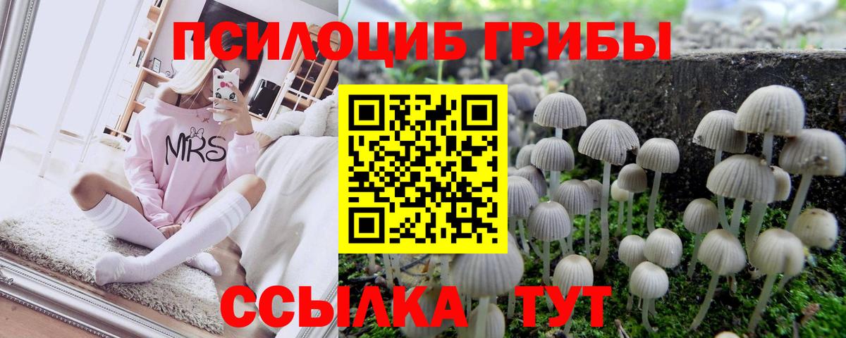 Кольчугино  Псилоцибиновые грибы мицелий  Вход с VPN 