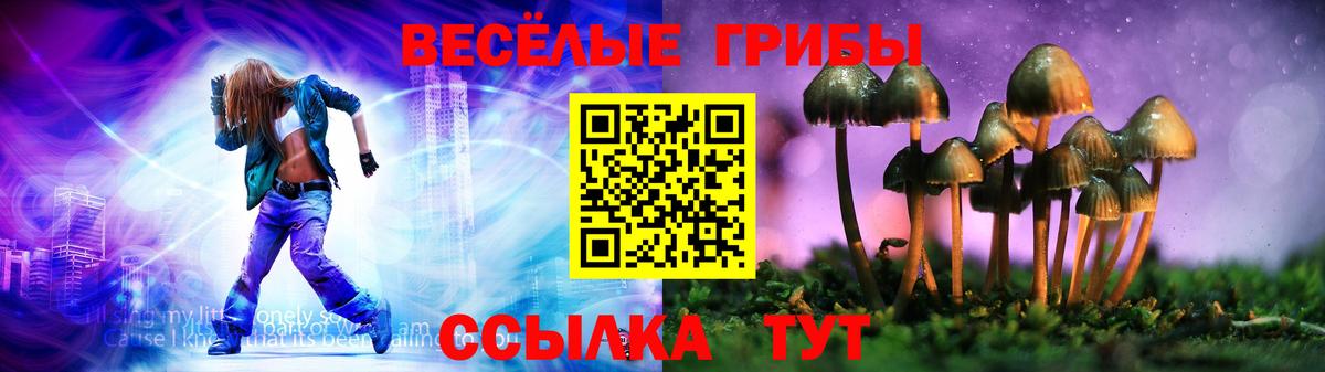 Галлюциногенные грибы Magic Shrooms Кольчугино